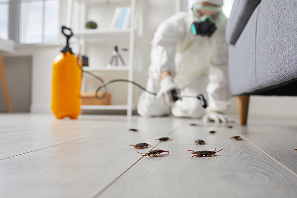 Commercial Kitchen Cockroach Control in Crystal Lakes